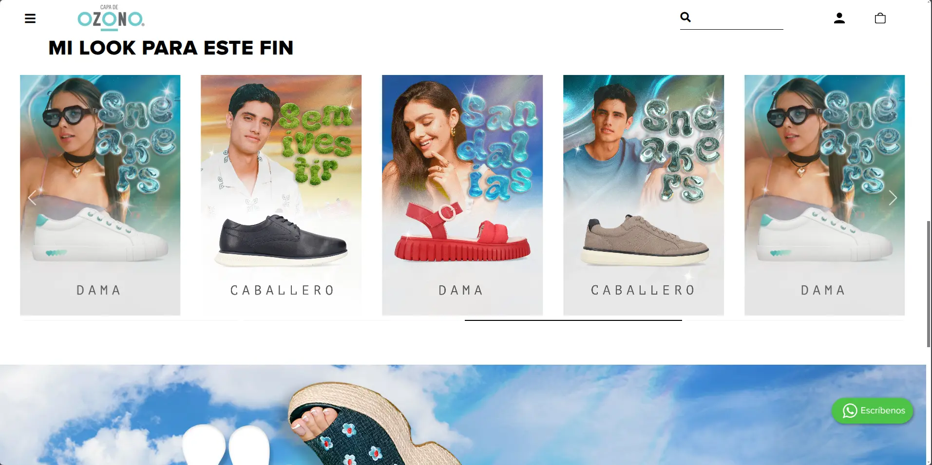 Captura del Proyecto