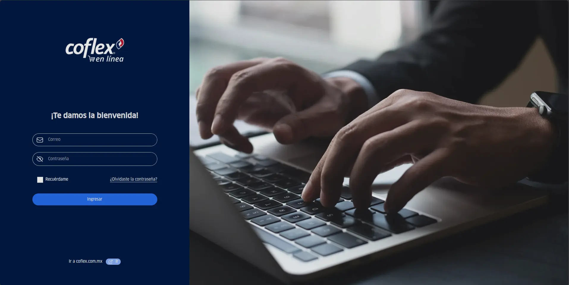 Captura del Proyecto